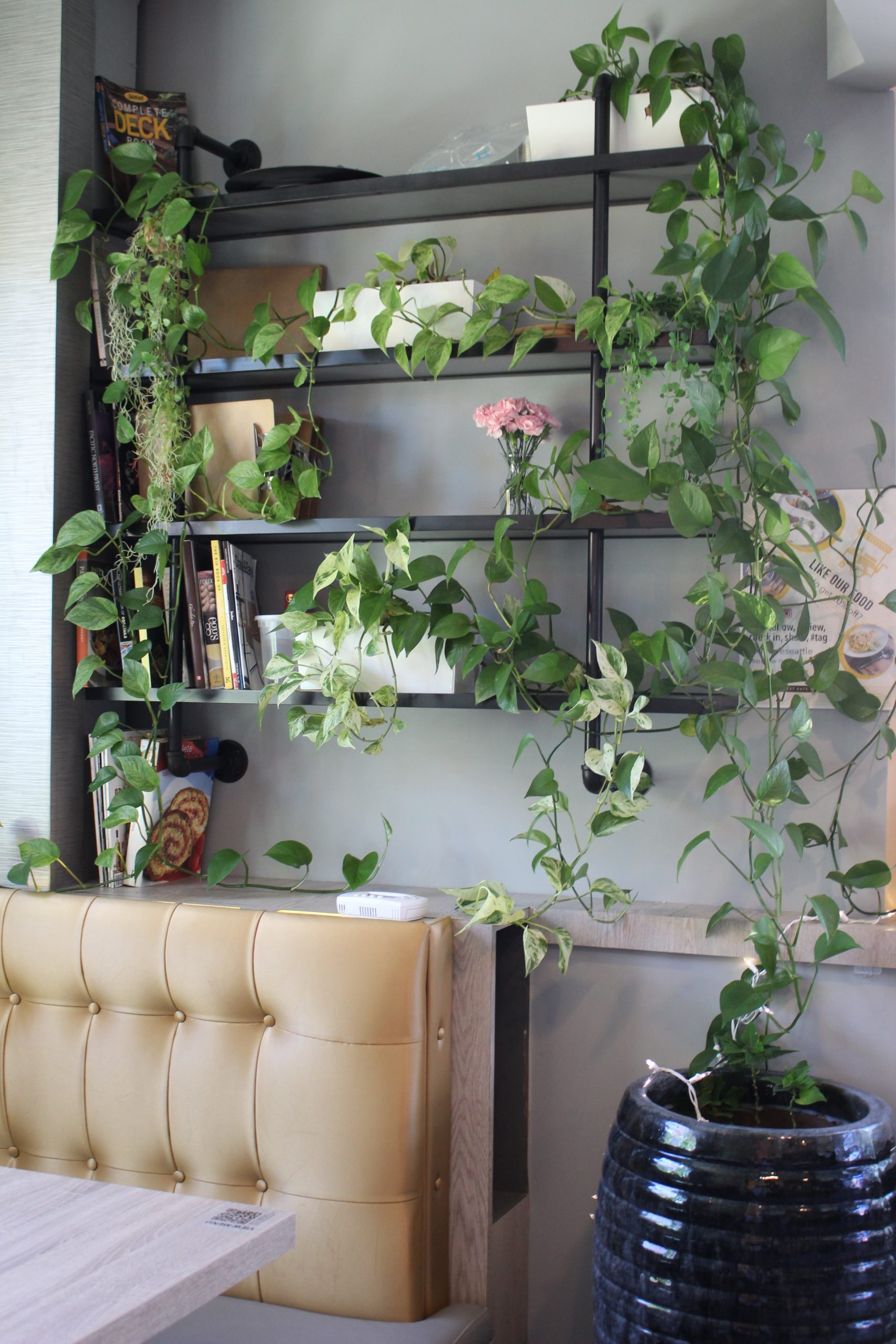 Decor1